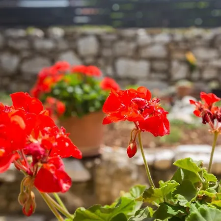 Laureta Apartment Porec